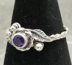 Zum Vergrößern anklicken