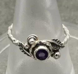 Zum Vergrößern anklicken