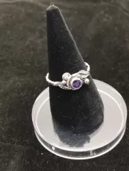 Zum Vergrößern anklicken