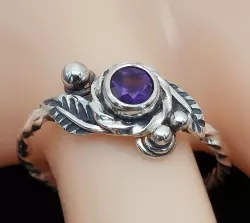 Zum Vergrößern anklicken