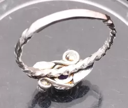 Zum Vergrößern anklicken