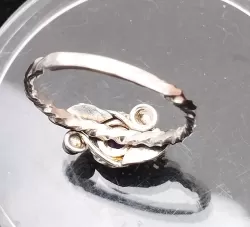 Zum Vergrößern anklicken